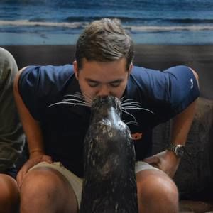 Meet your Posher, Nolan